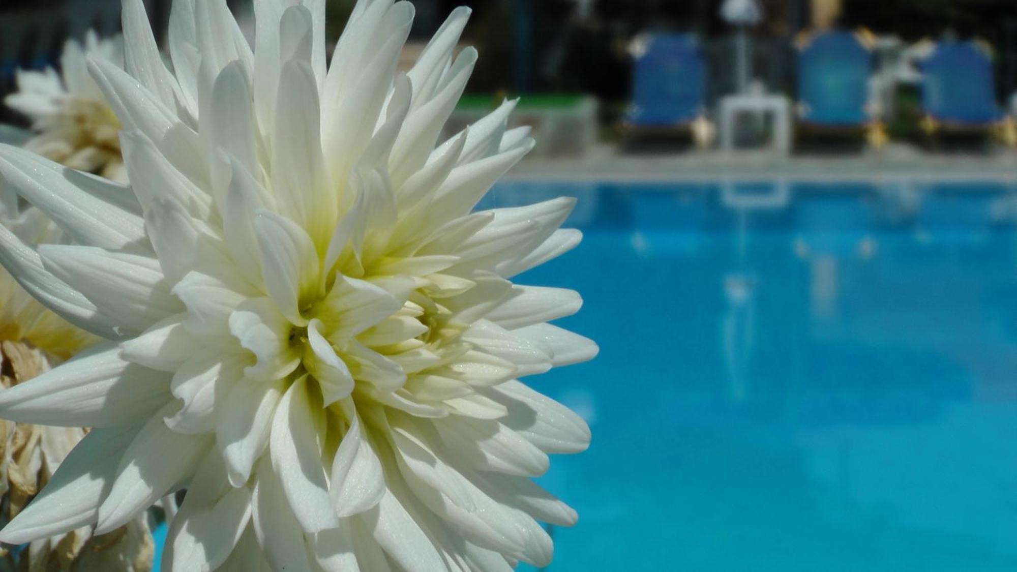 Tria Adelphia Arillas (Corfu)