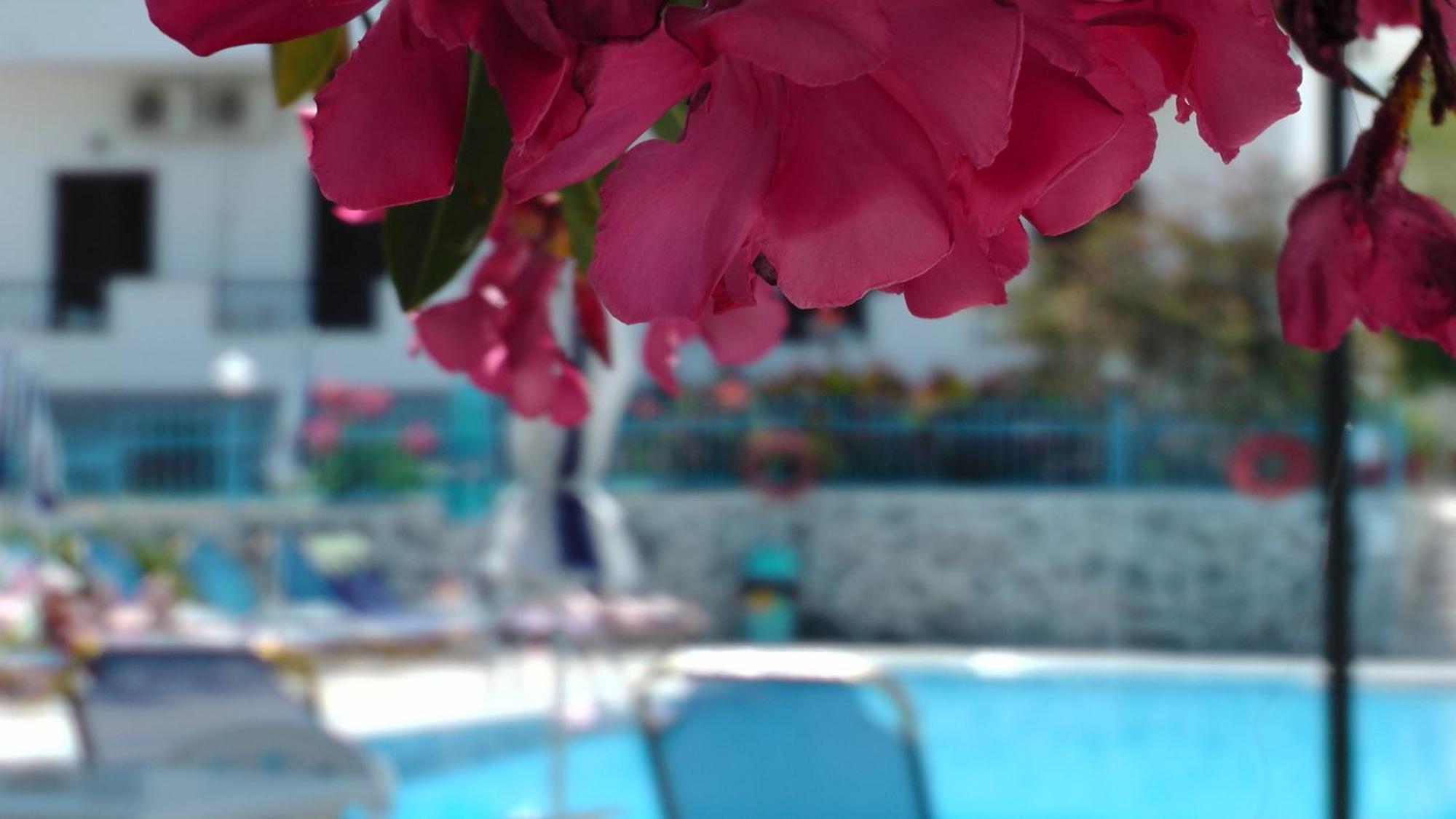 Aparthotel Tria Adelphia 2*