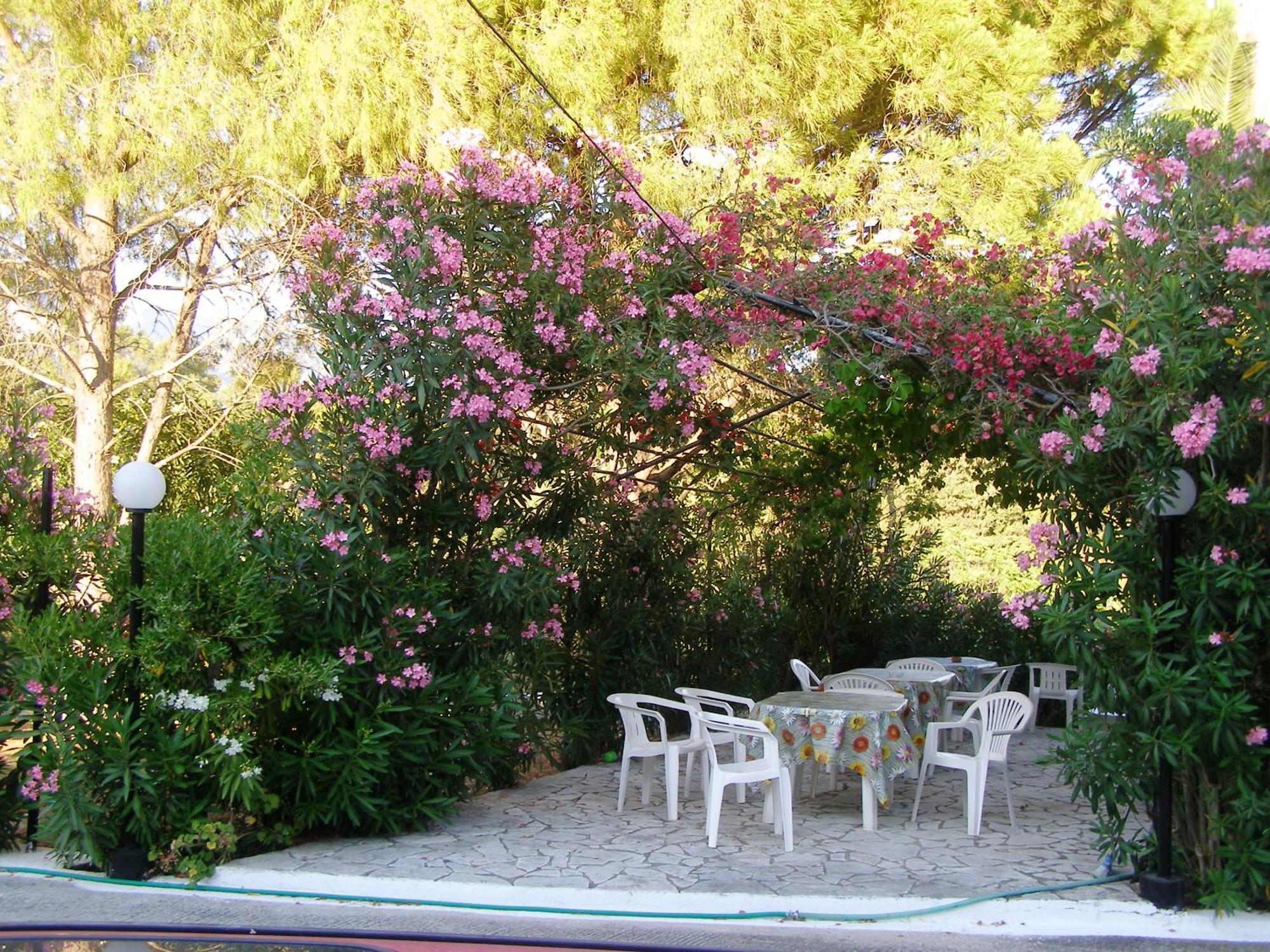 Polymnia Apartment *
