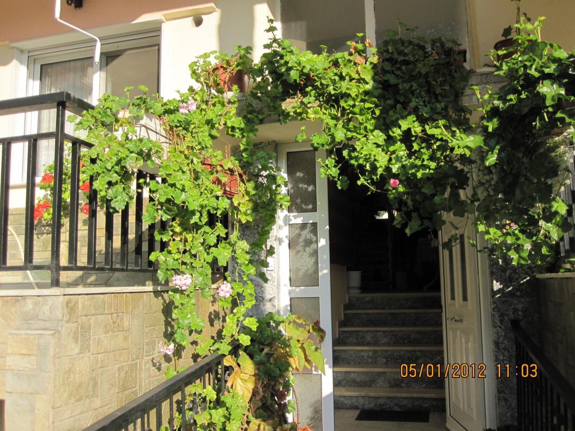 Vasiliki Apartment *
