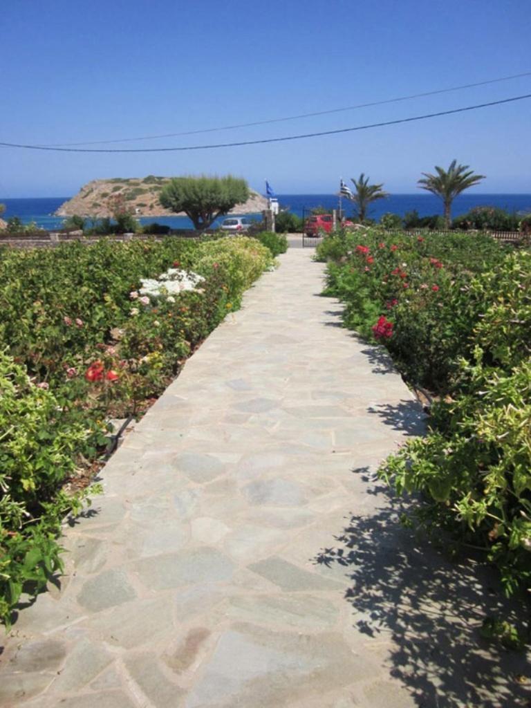Mare * Mochlos