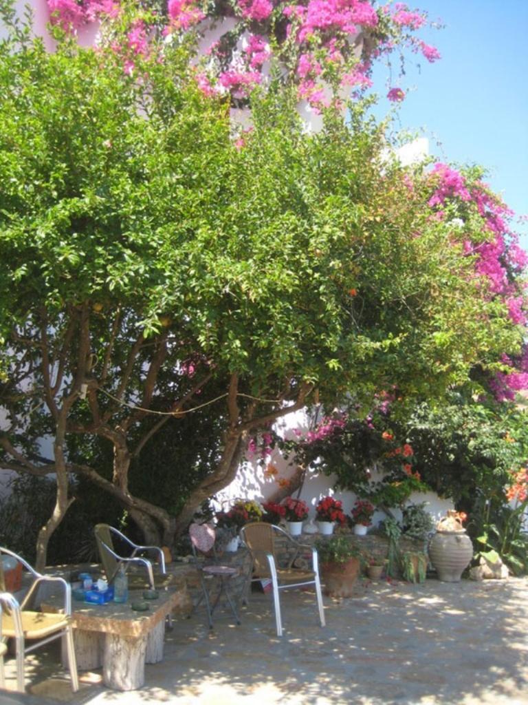 Mare Apartment