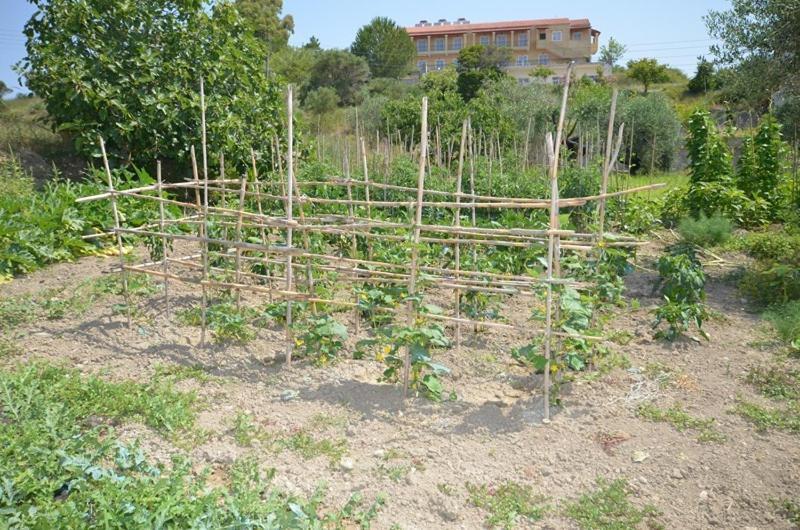 Anna Apartment Marathias (Corfu)