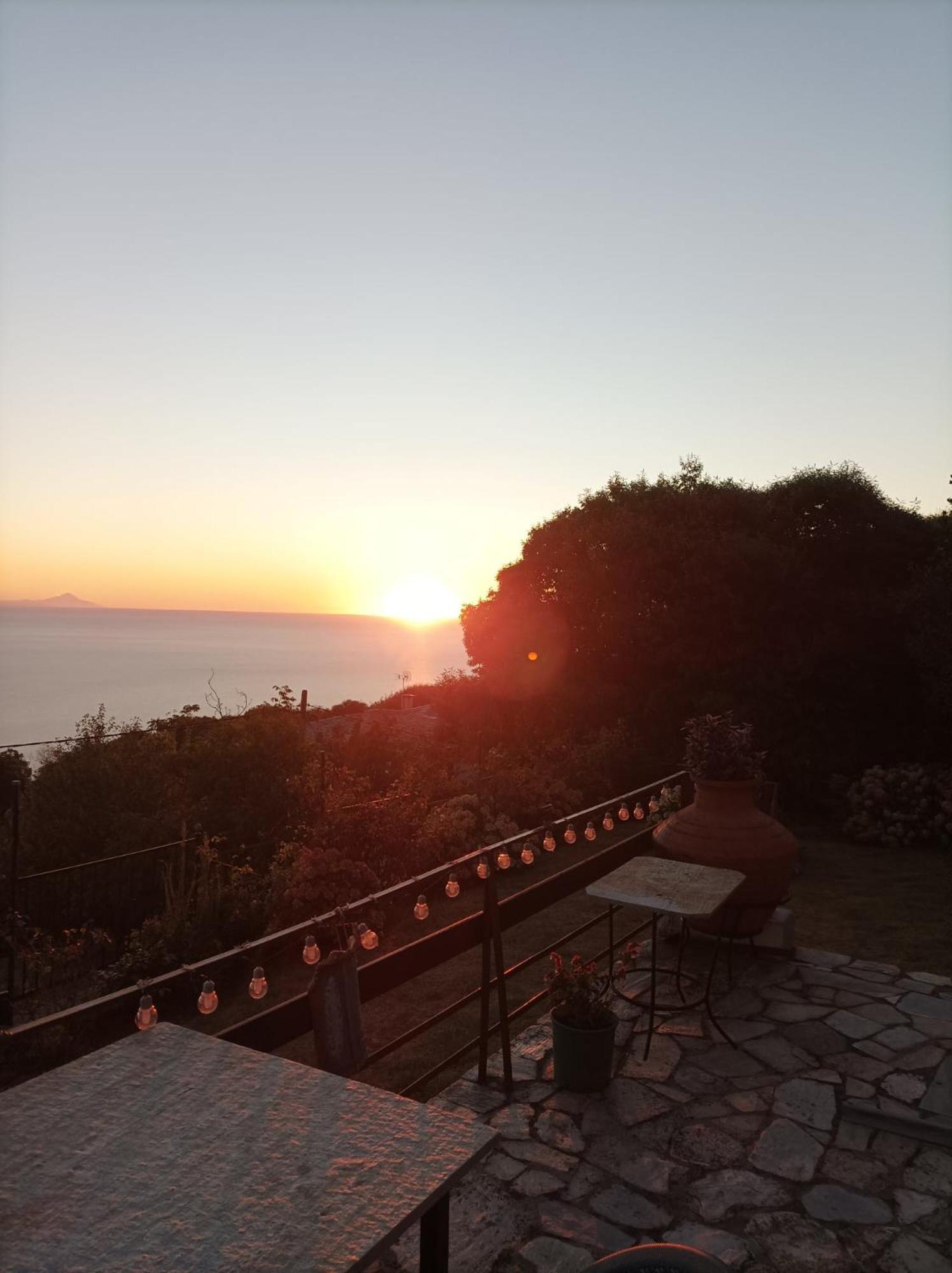 Hotel Diogenis