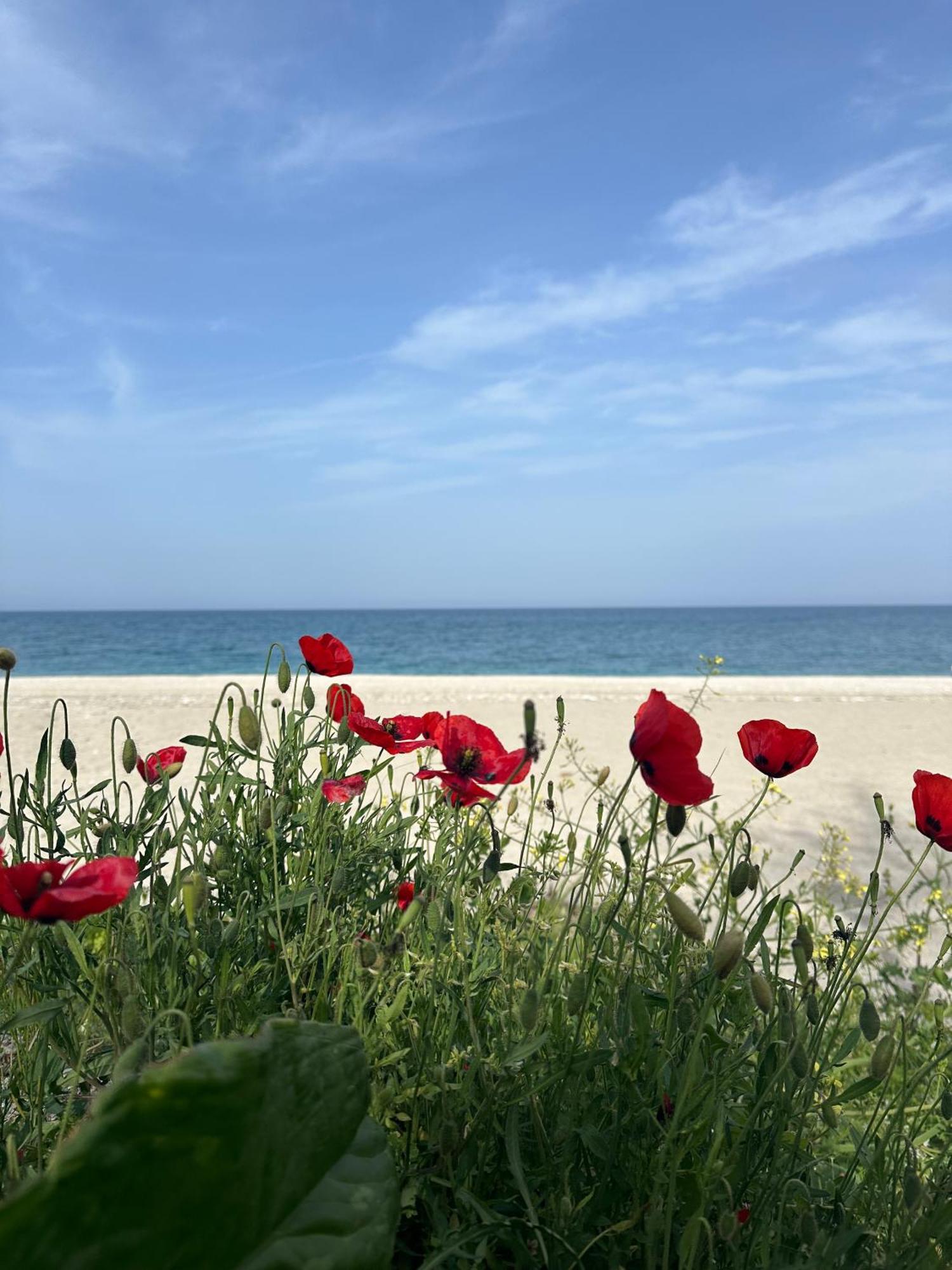 Apartment Amelia Beach Agios Ioannis (Thessaly)