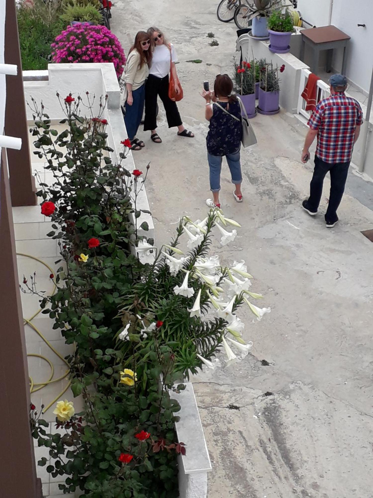 Mastichari Nektaria Studio Apartment