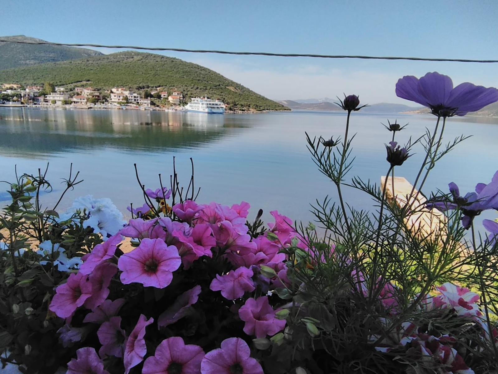 Country house Meli-ios *