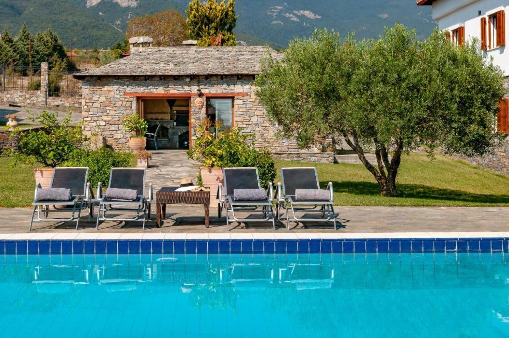Olympus Pantheon Luxury Leptokarya (Pieria)
