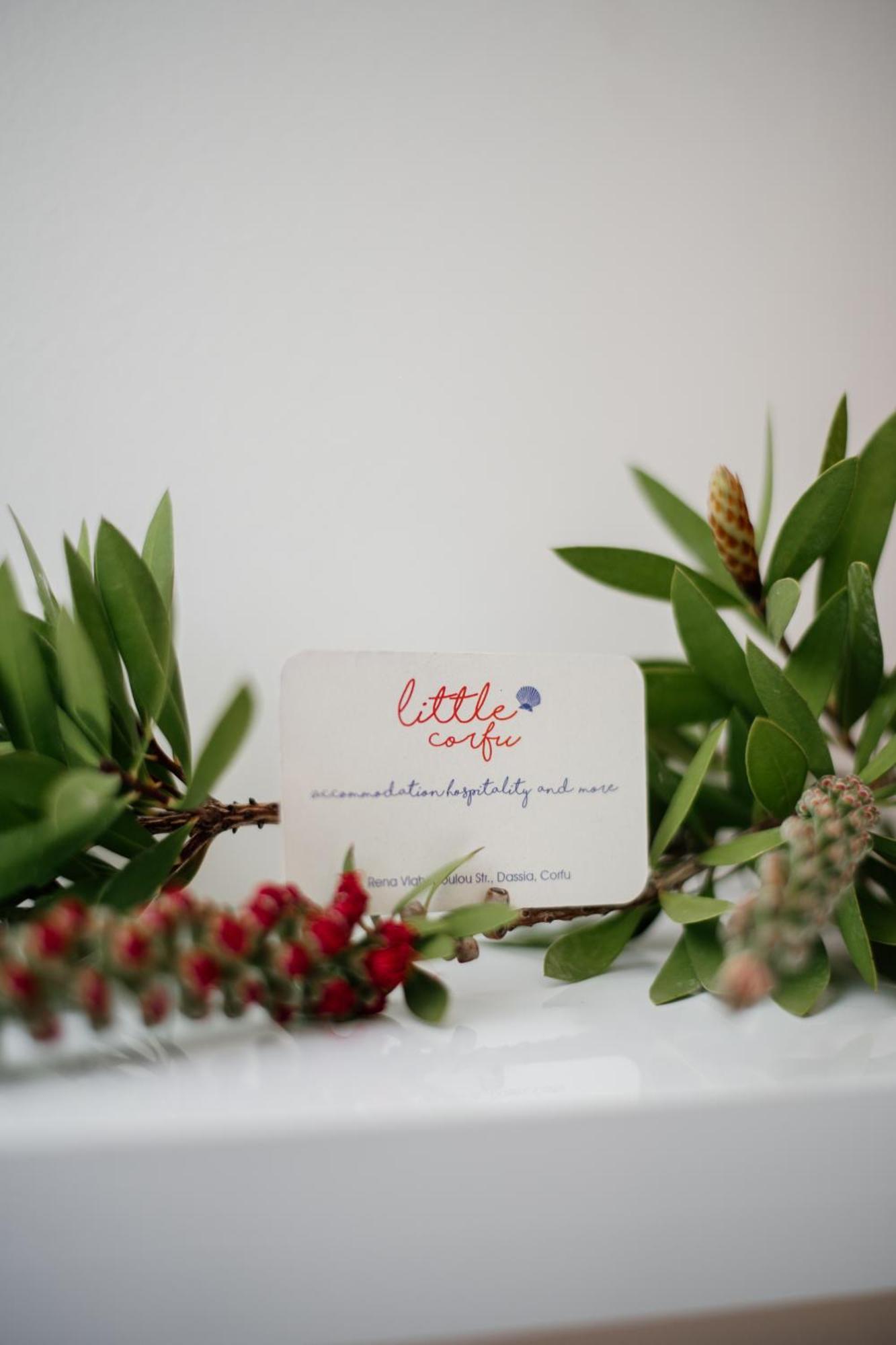 Little Corfu Aparthotel Dassia (Corfu)