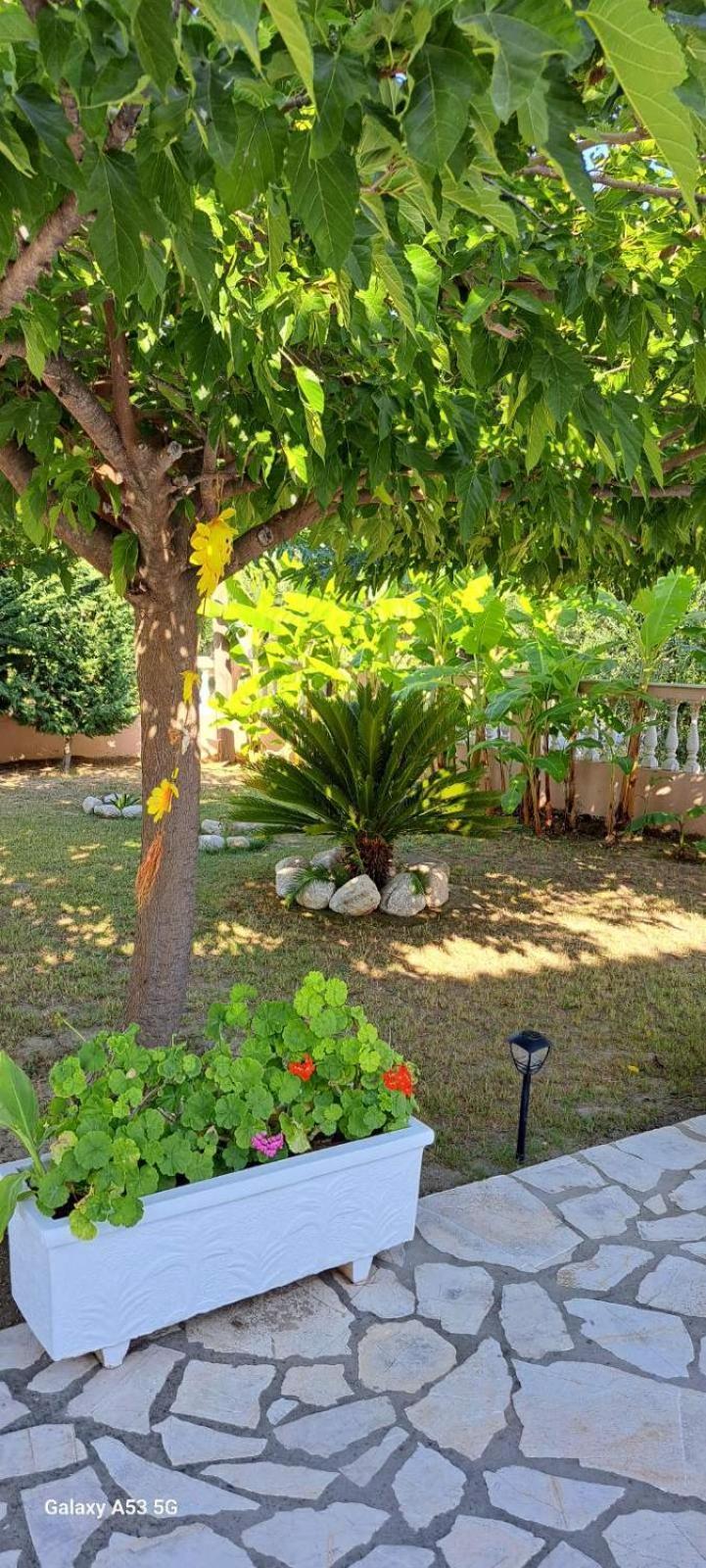 Welcome To Paradise! * Kakovatos