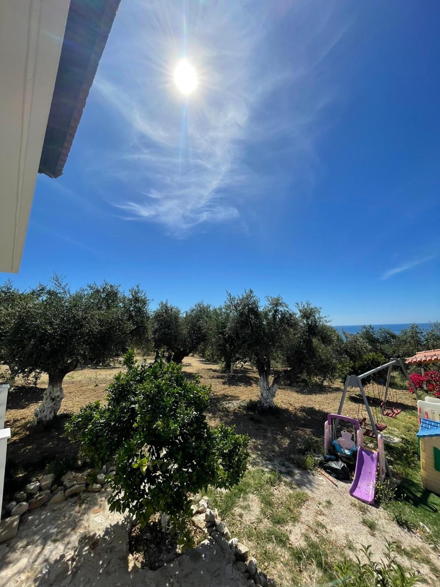 Terra Olivo * Koroni (Messinia)
