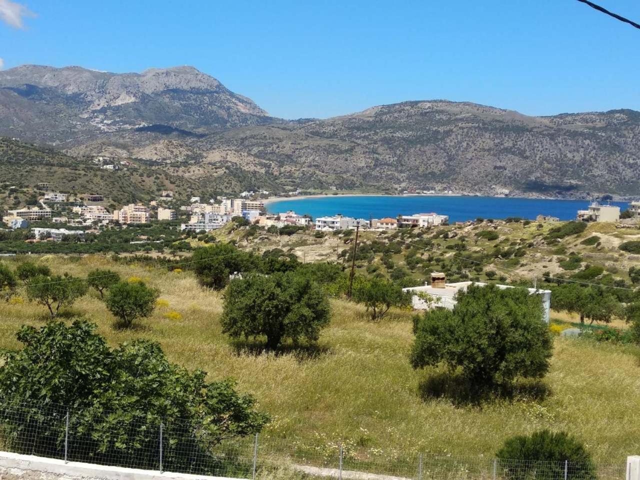 Salla Chiotis
