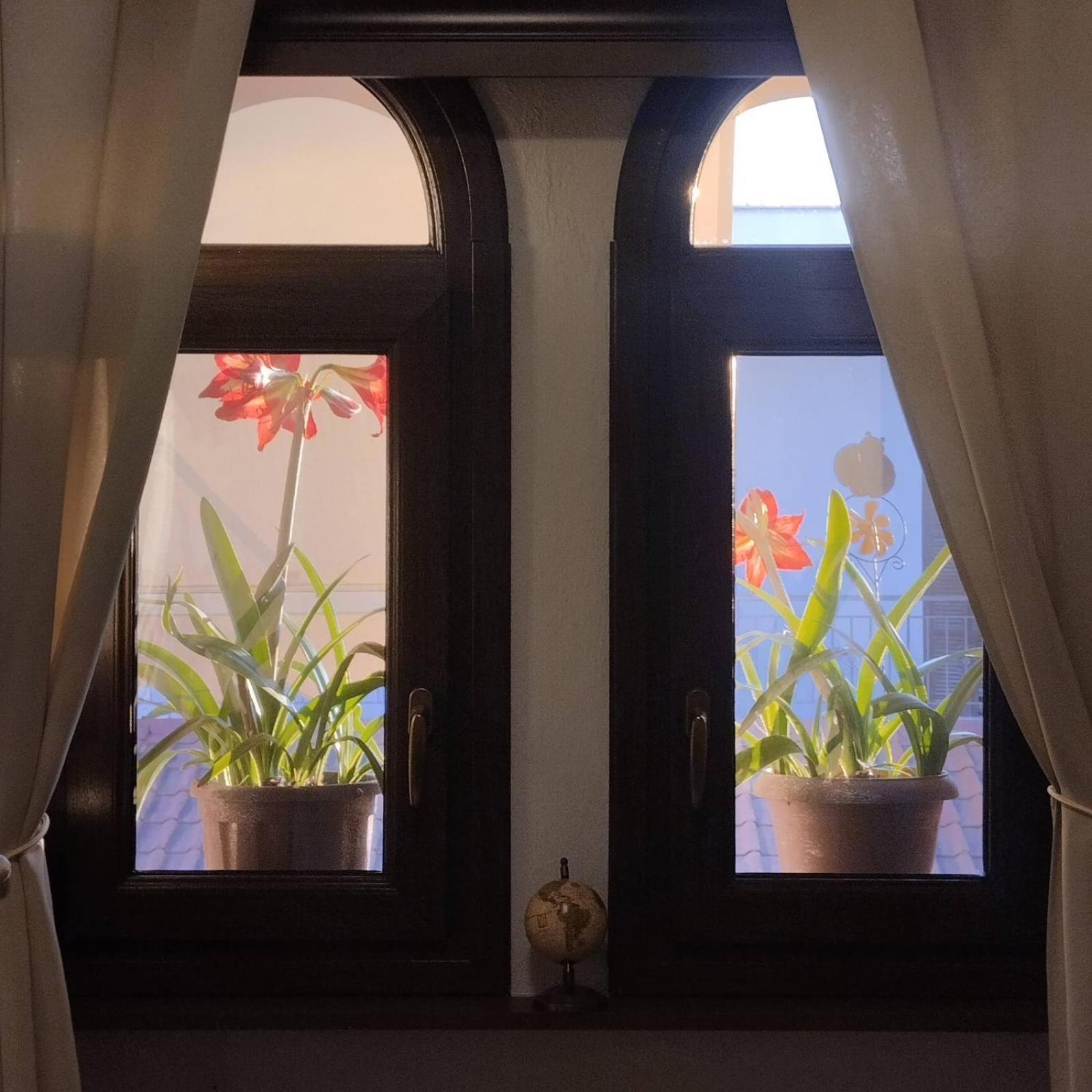 Sunrise Apartment *