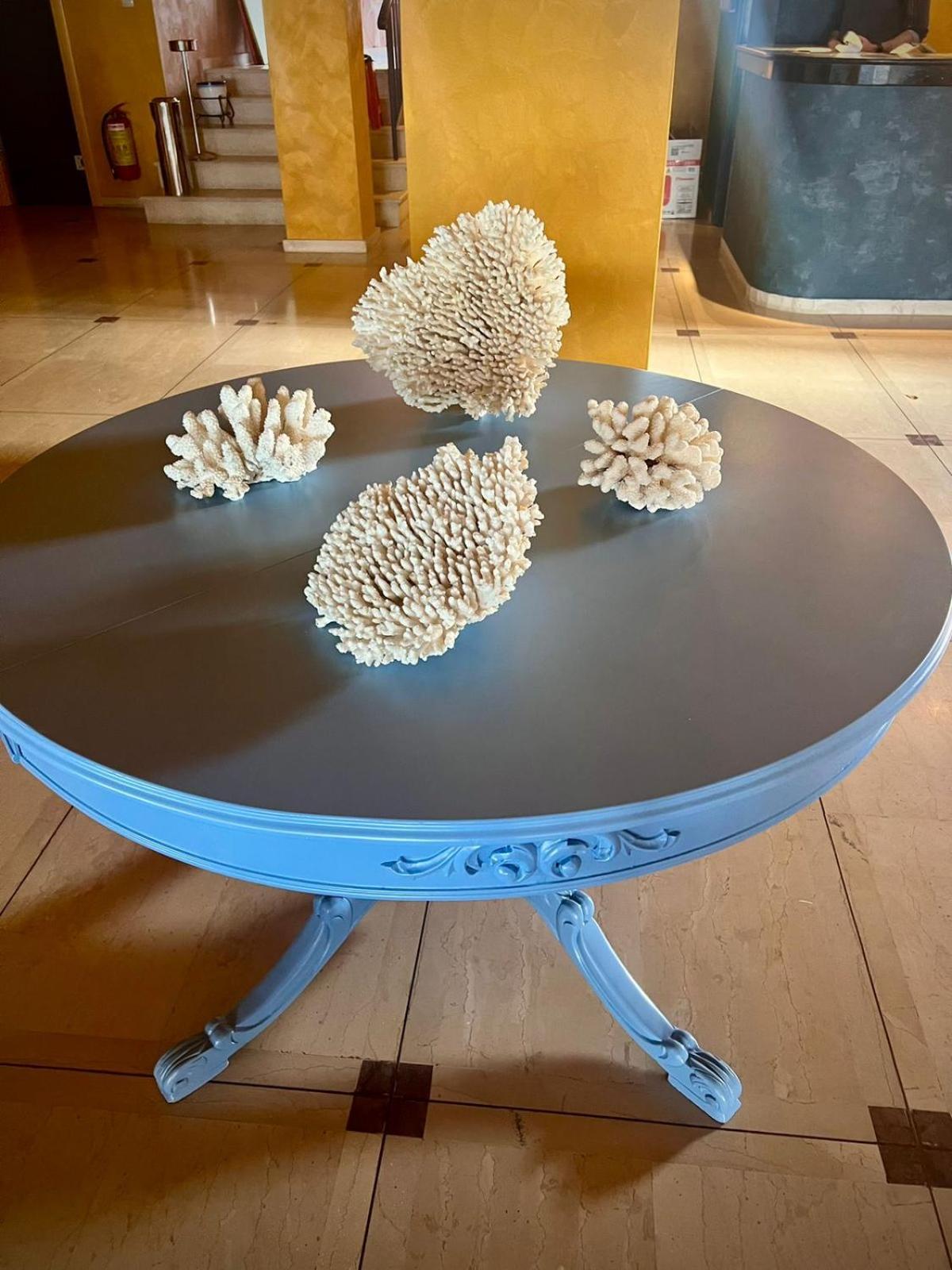 Coral 4*