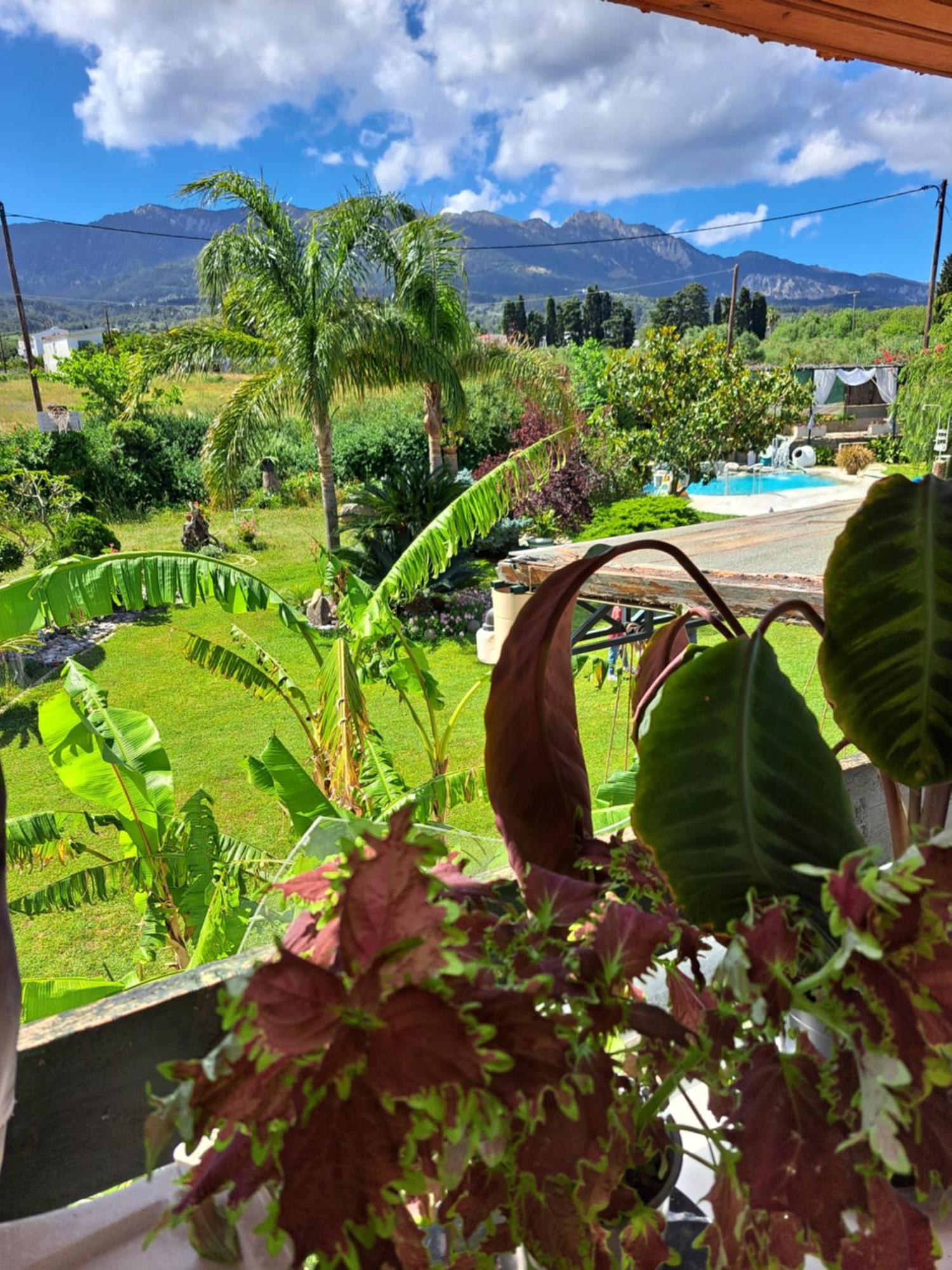 In Paradise Holiday home