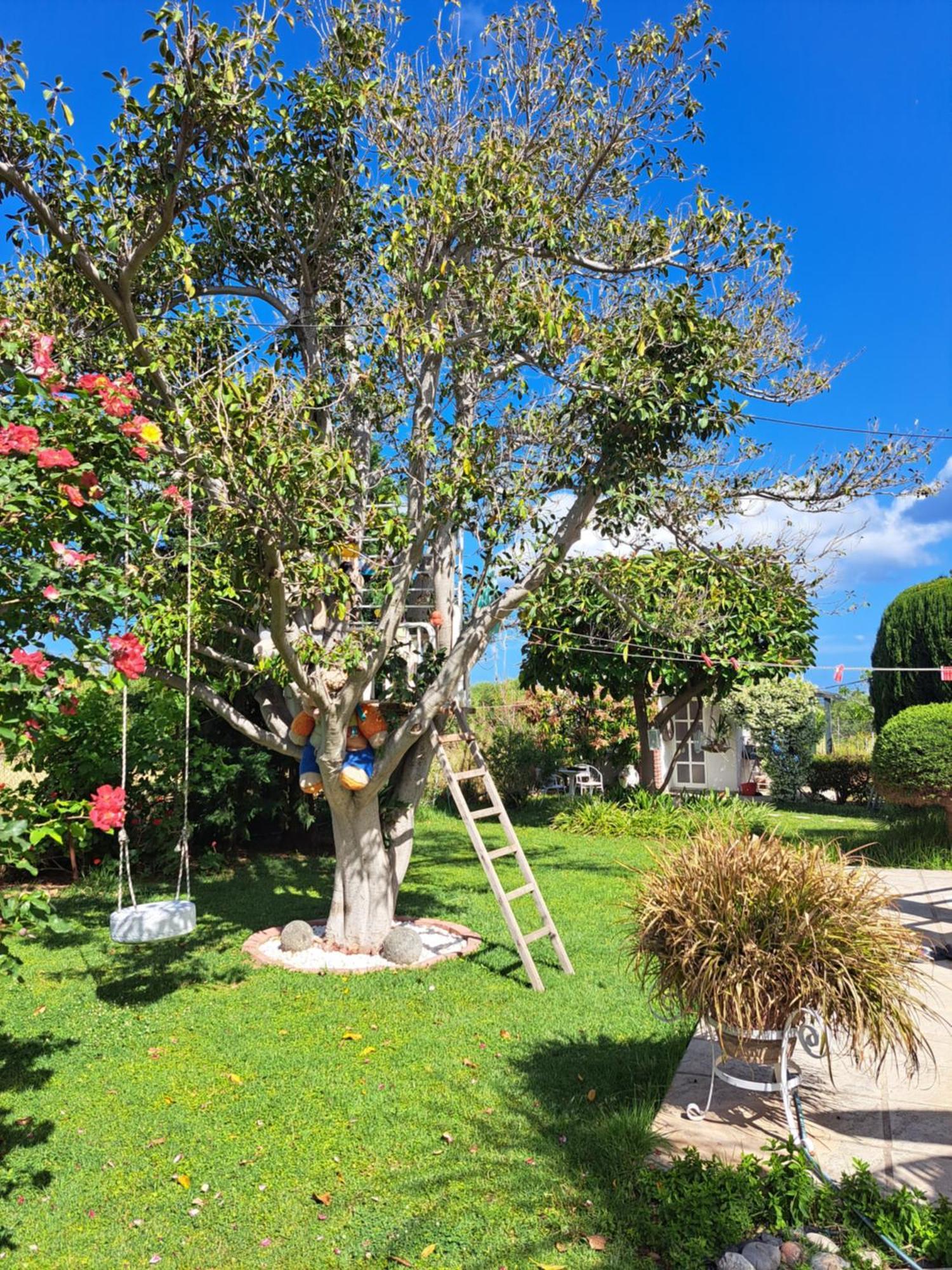 In Paradise Holiday home Ziparion