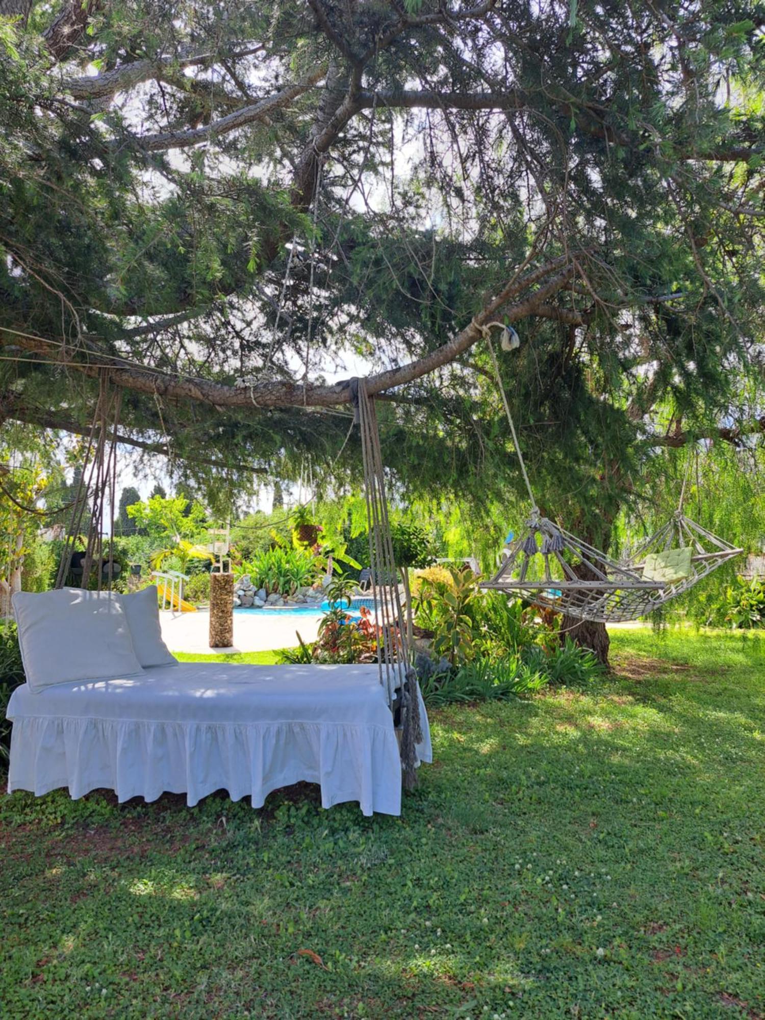 In Paradise *