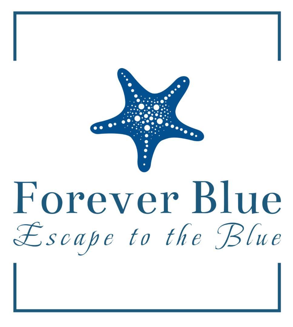 Forever Blue Holiday home Salamis