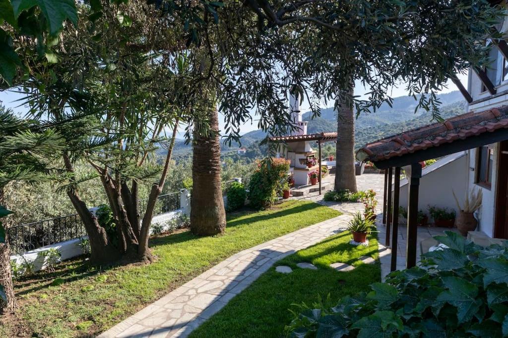 Koukounaraki 2 * Skiathos Town