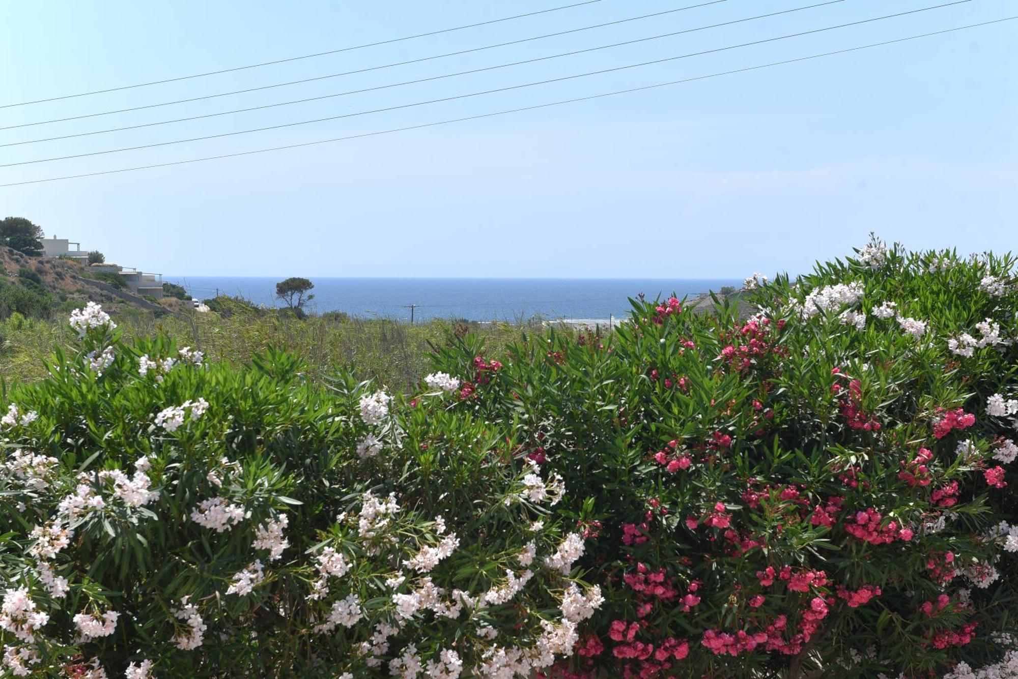 Cyclamen Apartment Posidhonia (Syros)