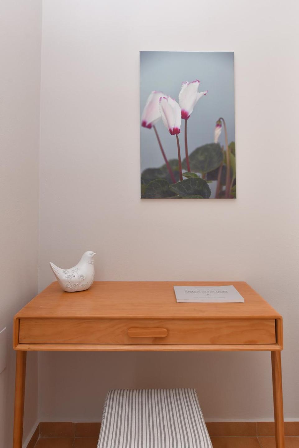 Cyclamen * Posidhonia (Syros)
