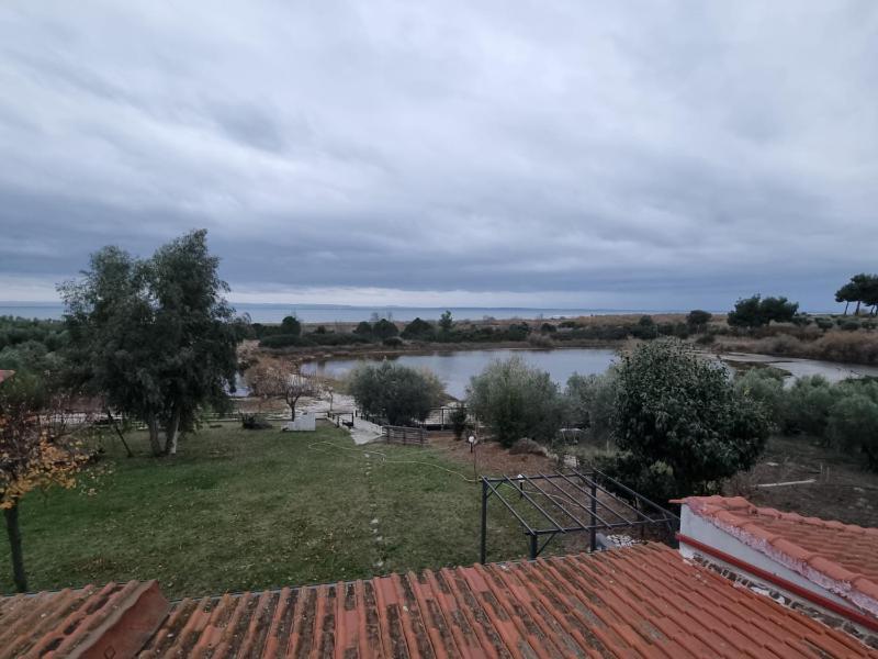 Zafira Retreat *