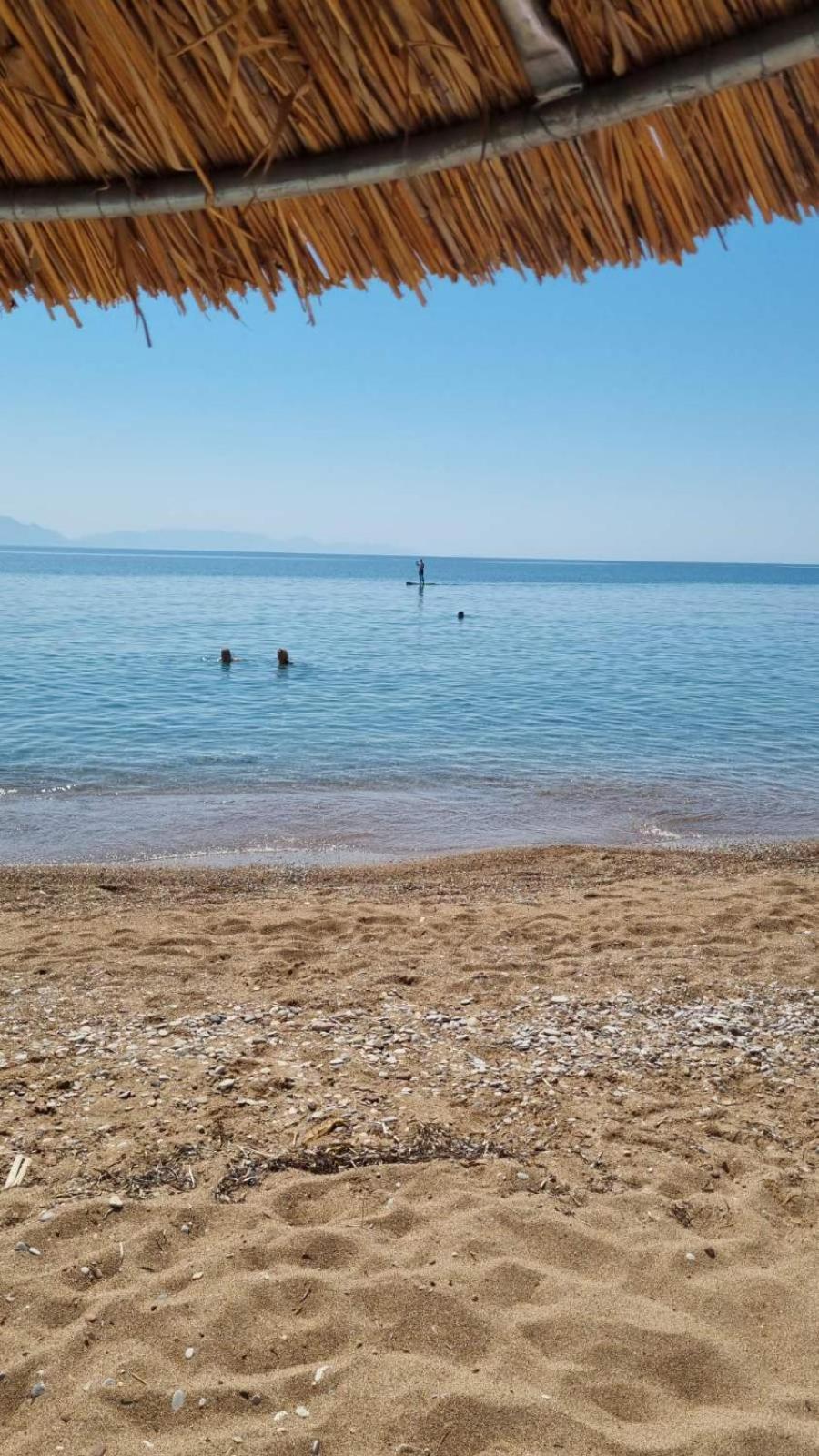 Petra Apartment Kalamaki (Messinia)