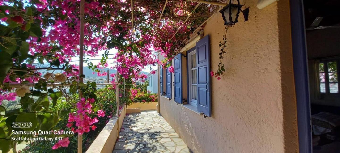 Oleander Holiday home *