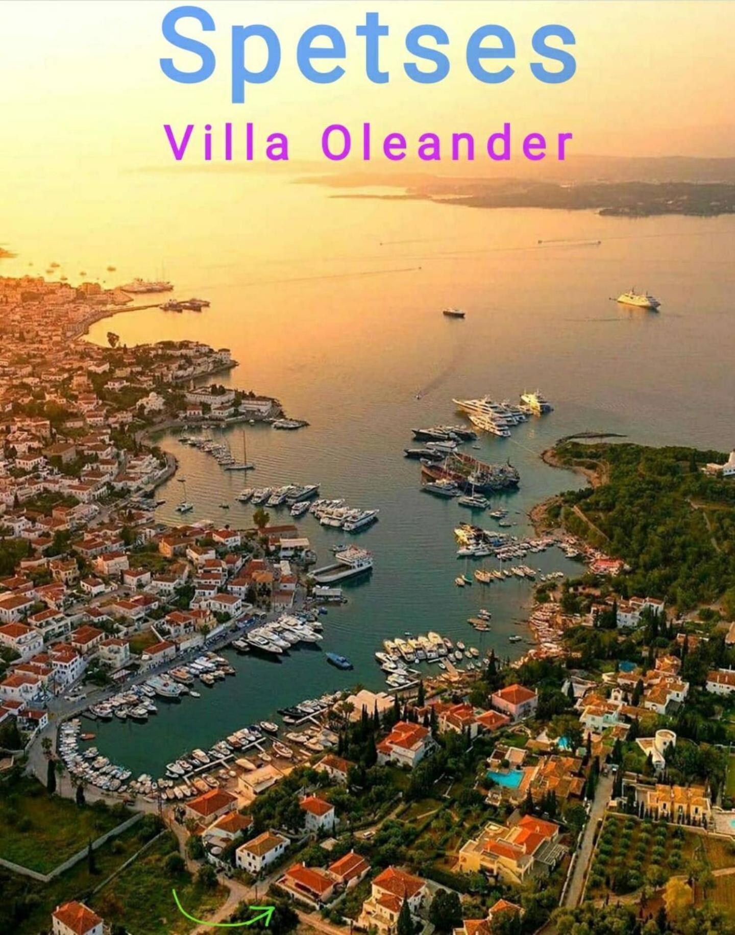 Oleander