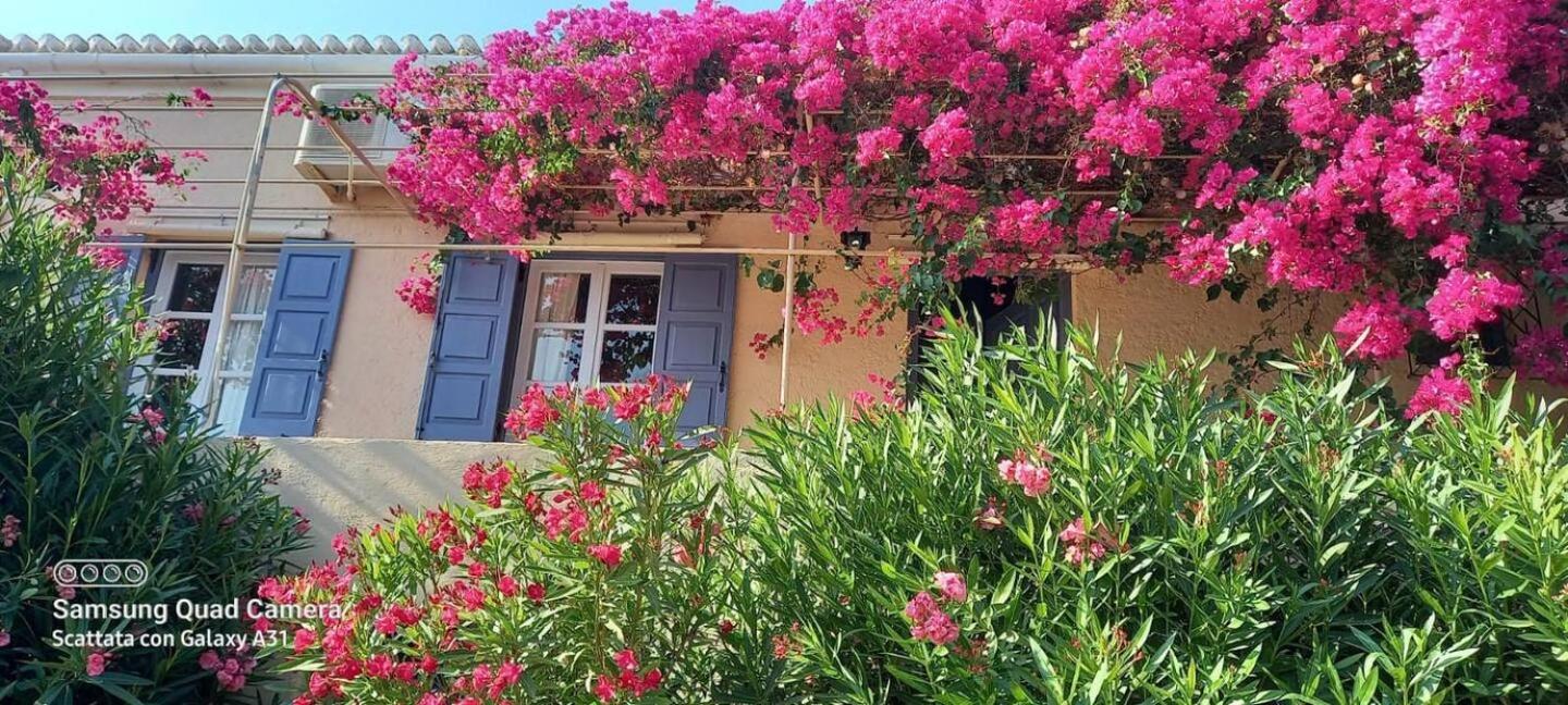 Oleander Holiday home