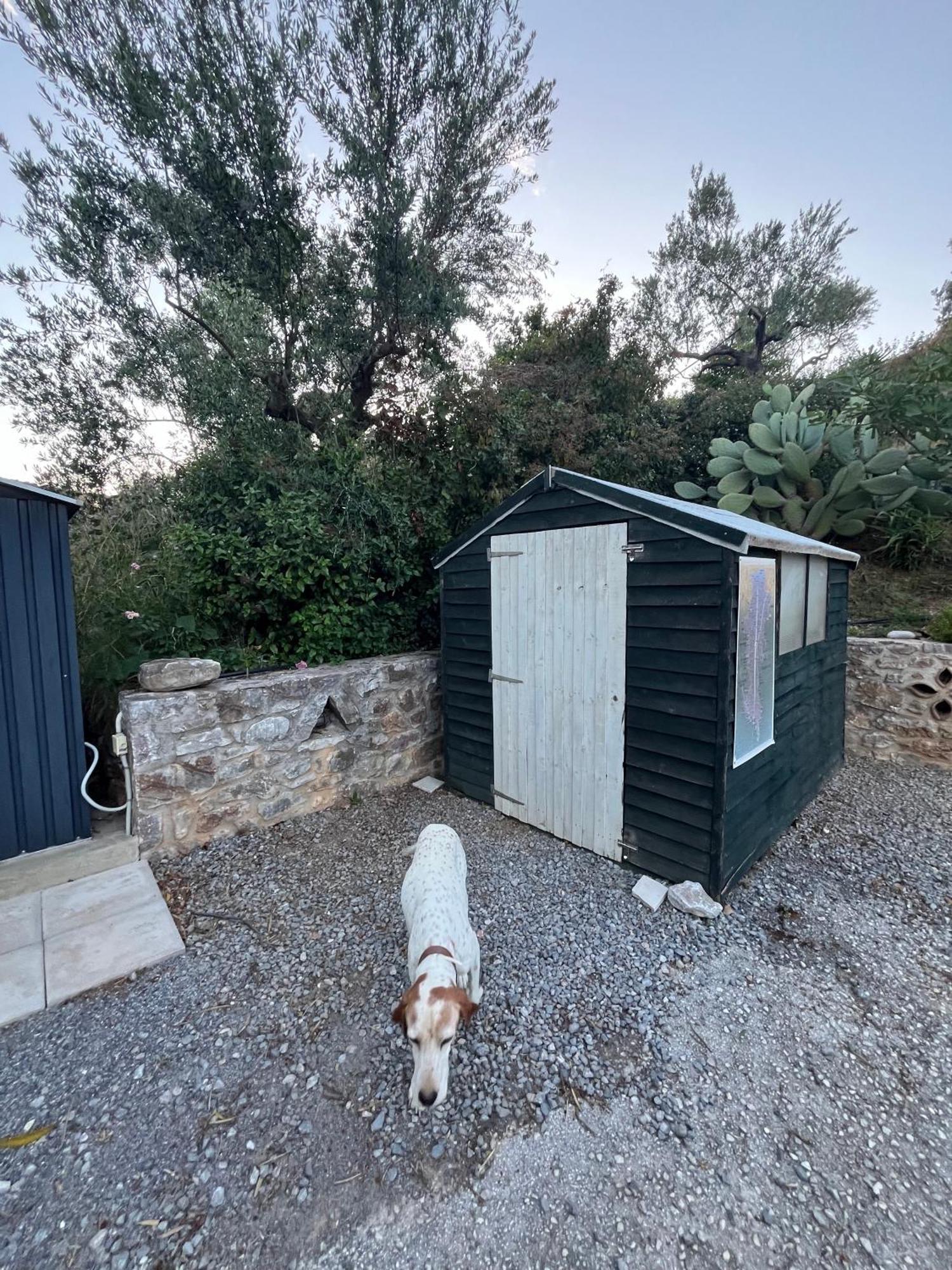 Apartment Nefeli Vathi (Peloponnese)
