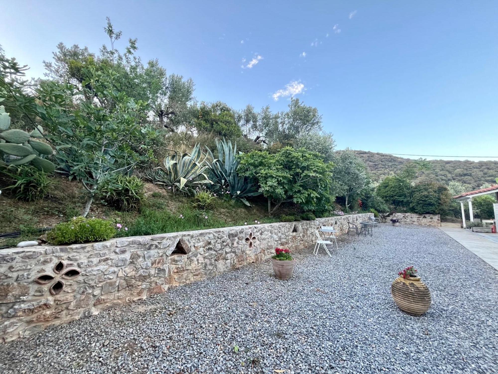 Nefeli Vathi (Peloponnese)