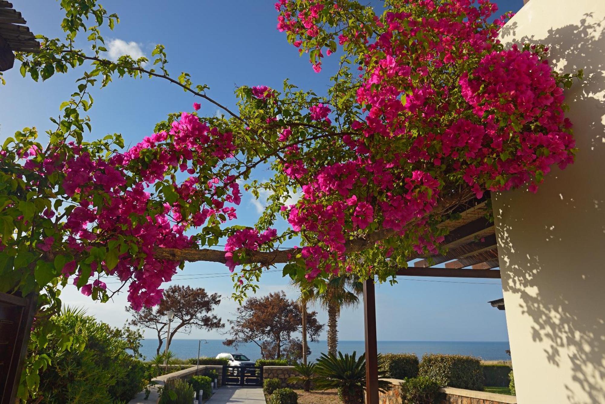 Sunrise By The Sea Villa Kiotari