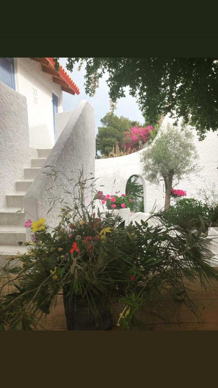 Rosys Little Village * Skala (Agistri)