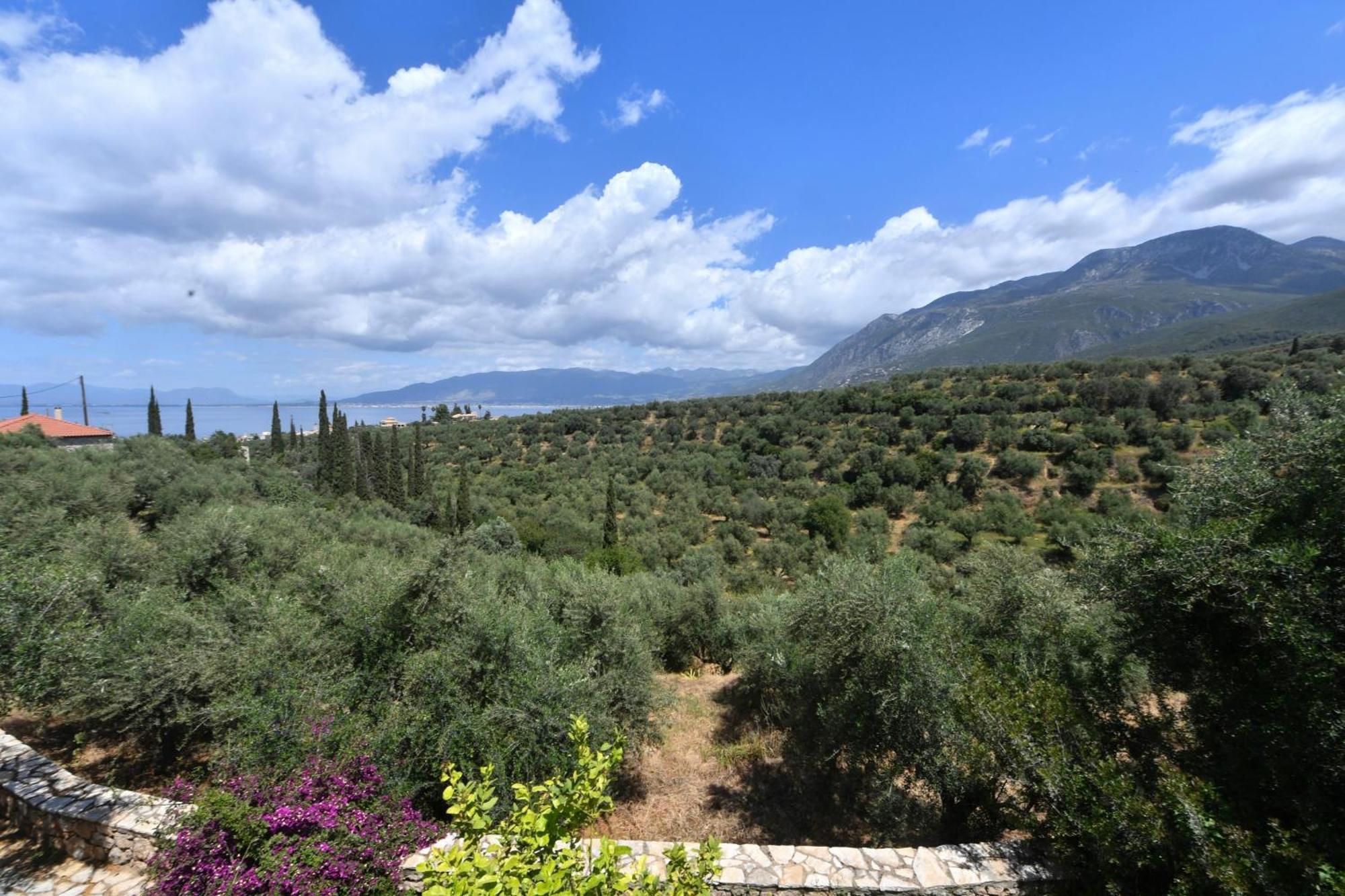 'n Gray Sea & Mountain House * Kalamata