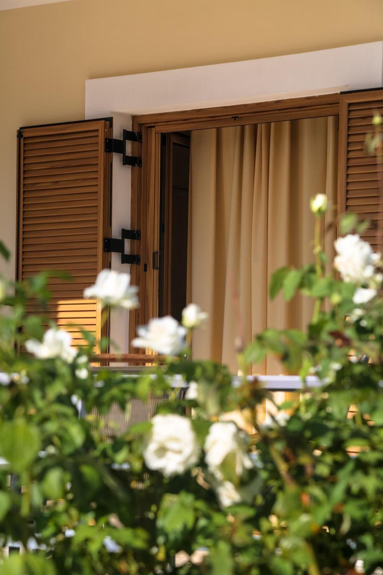 Eleni Holiday home *
