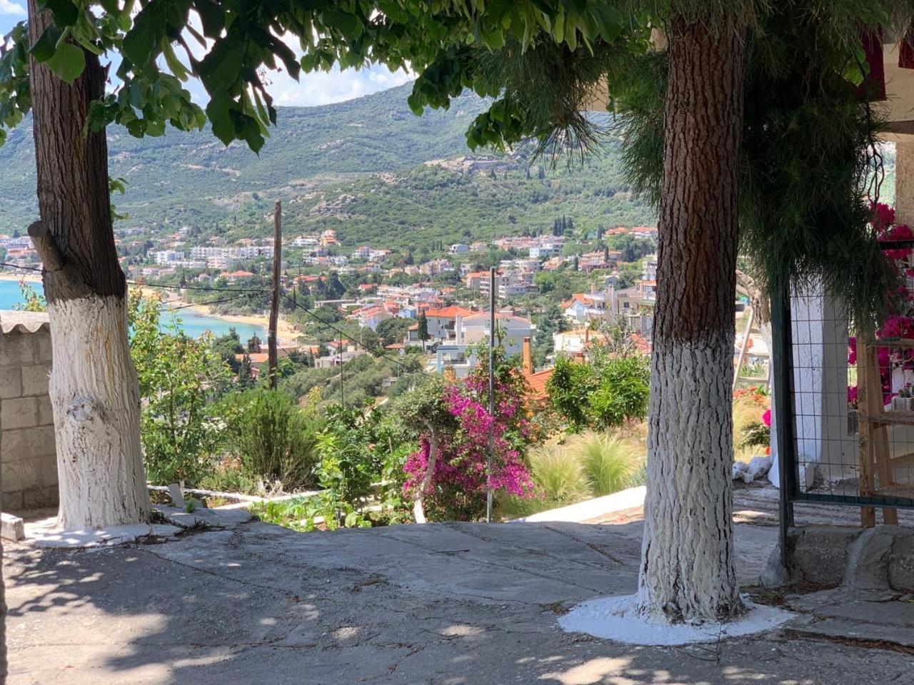 Mimoza's Sea View * Palaiontsiflikion