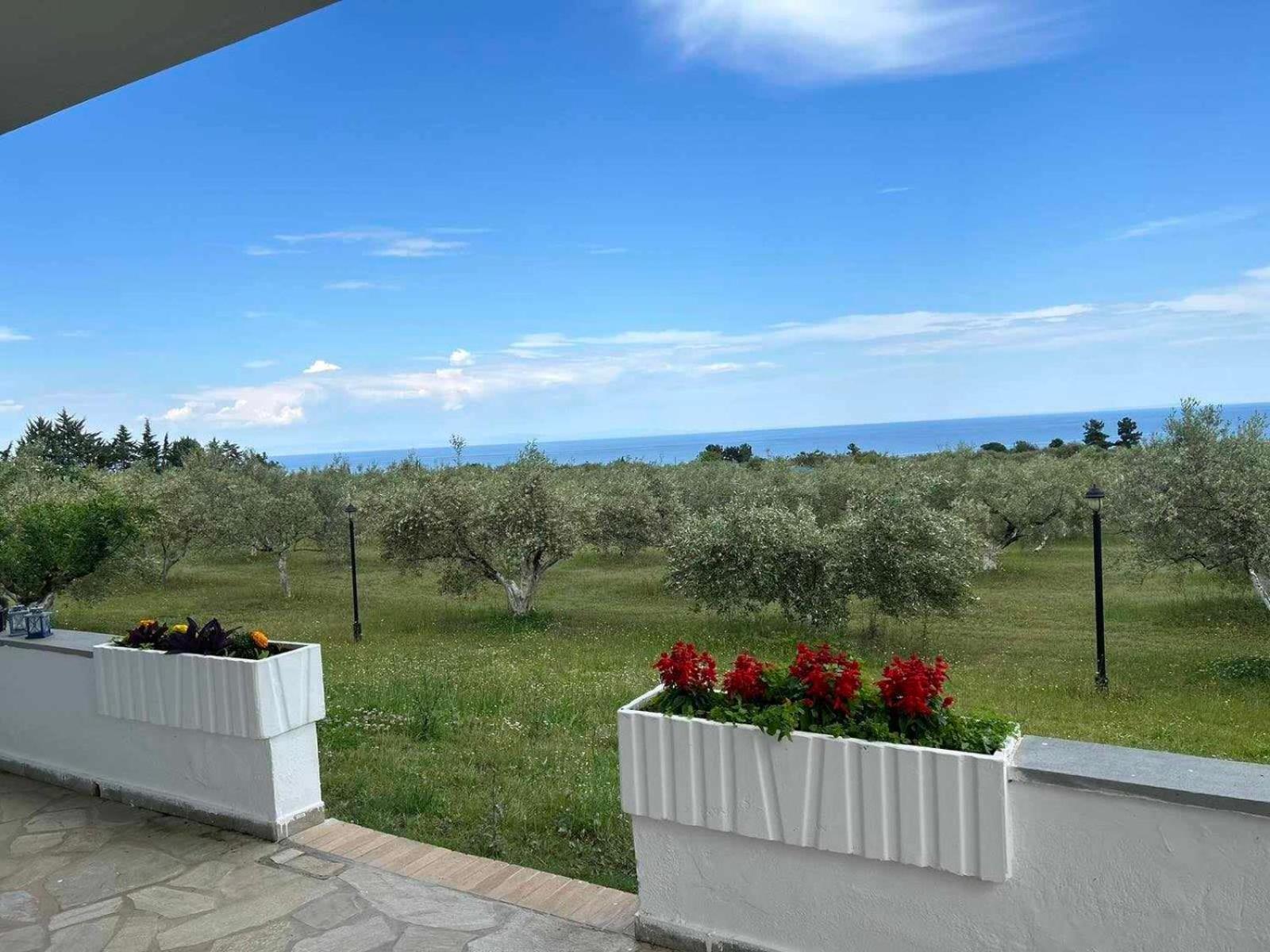 Holiday home Zeusplace Olympus Olive 4 *