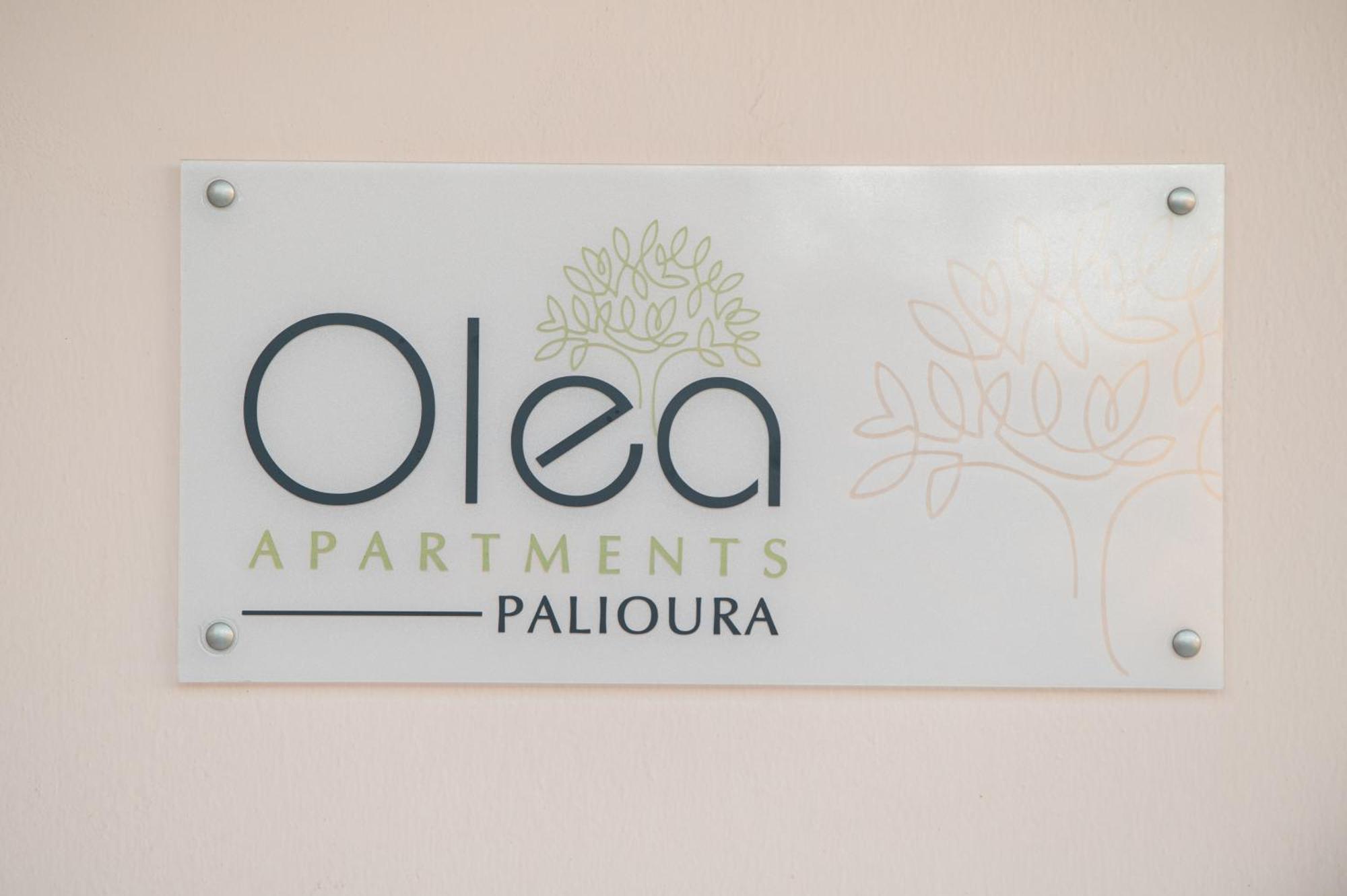 Olea Palioura * Epanomi