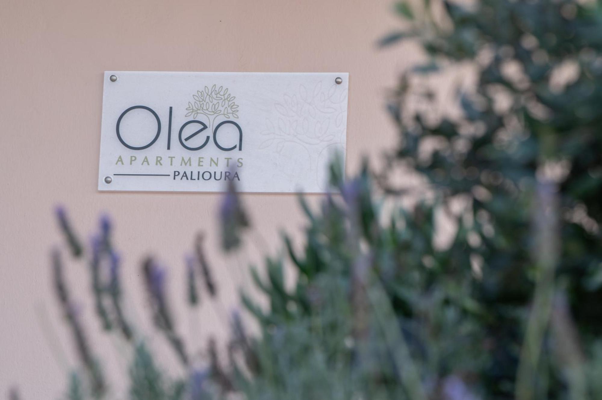 Apartment Olea Palioura *