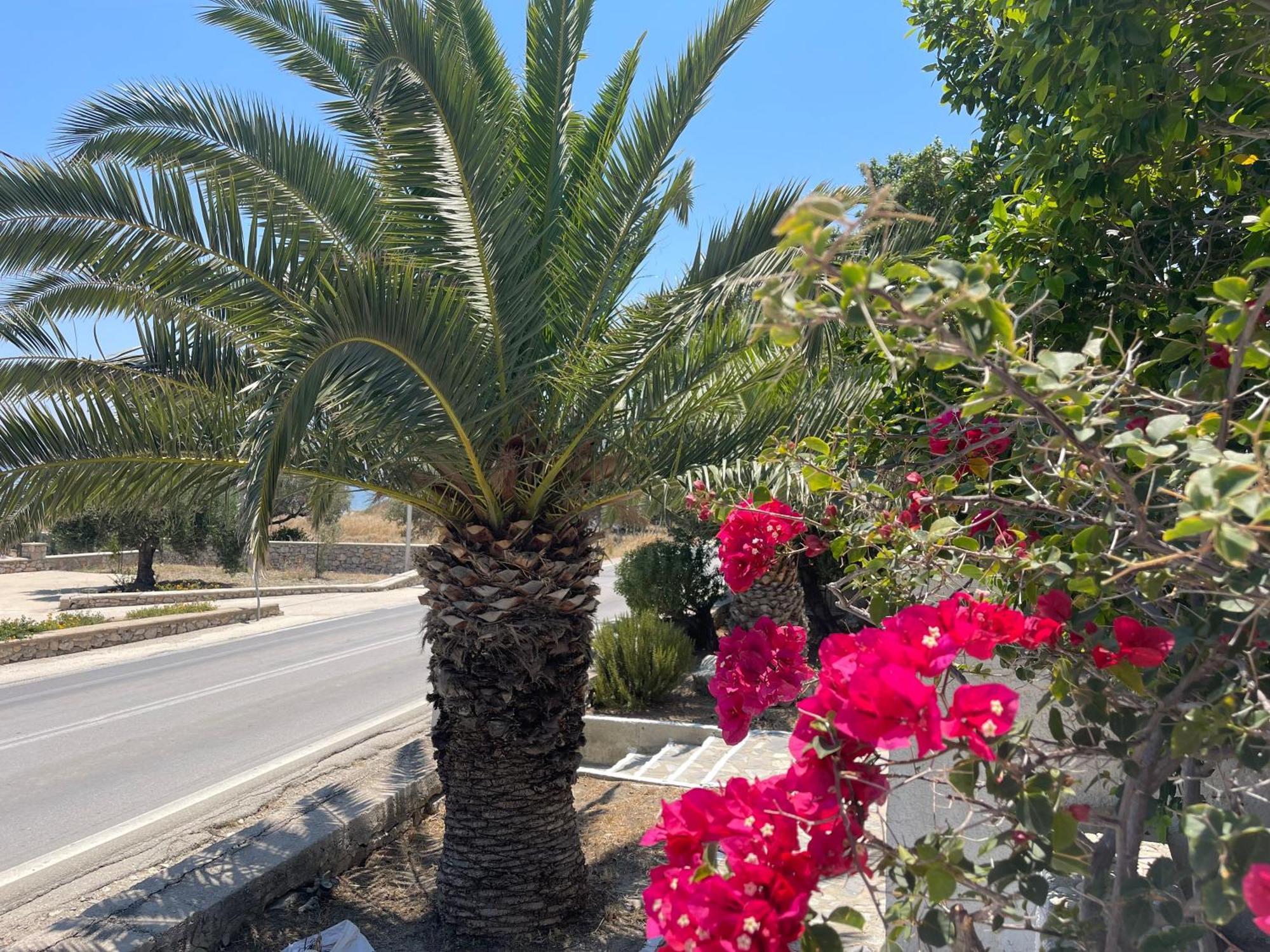 Limni * Karpathos Town (Pigadia)