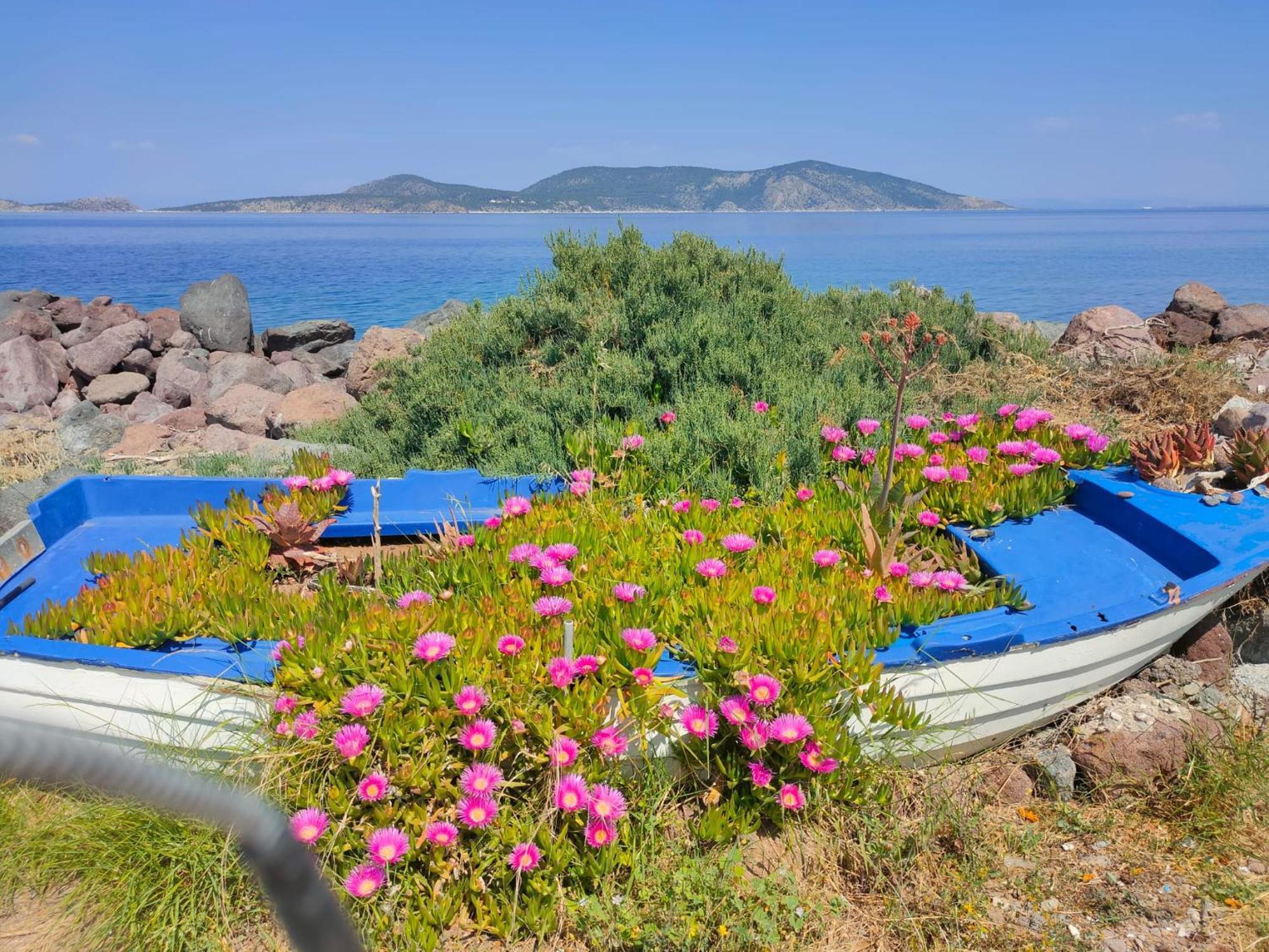 On The Sea Suite&spa Villa