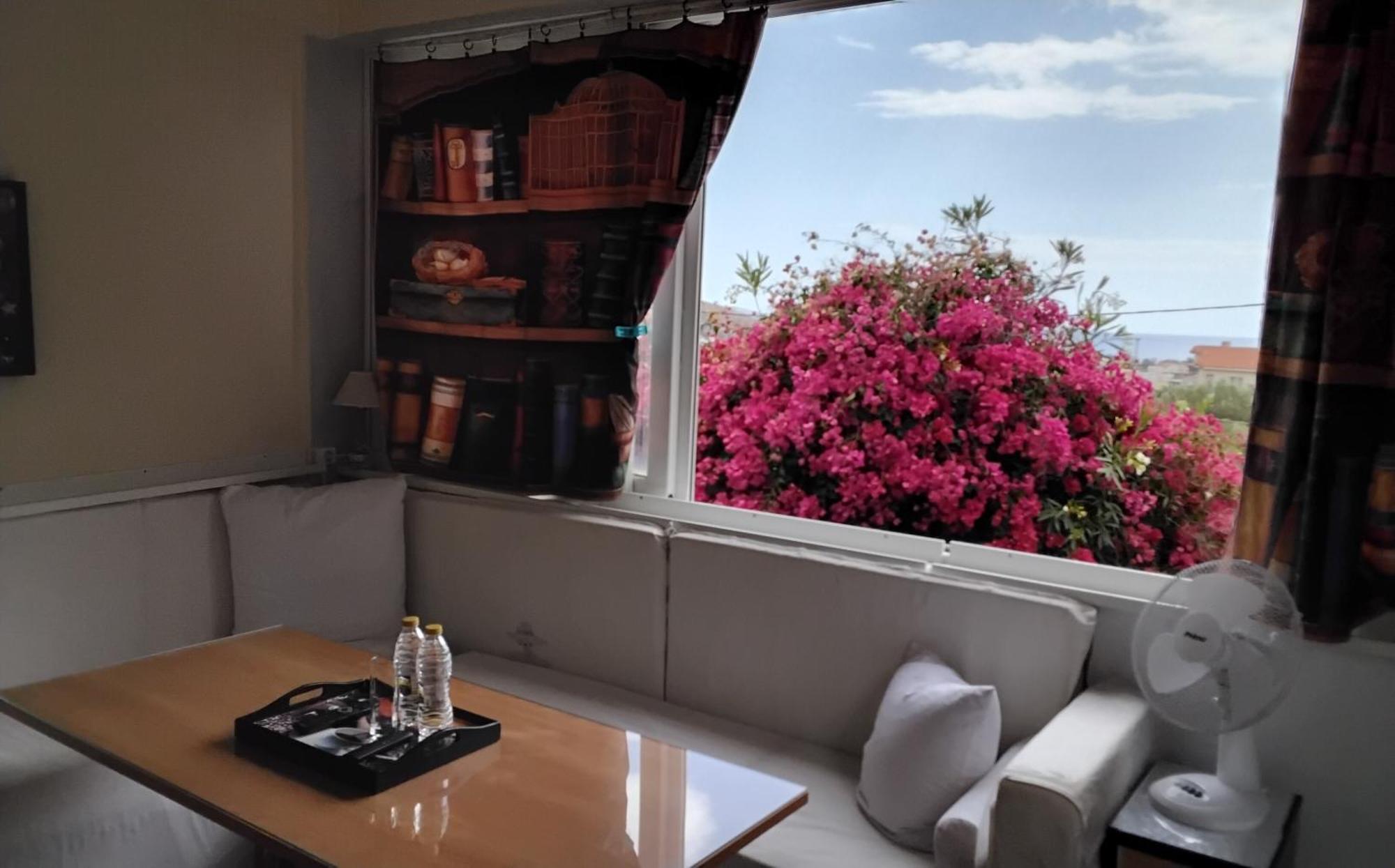 Apartment Peaceful Oasis