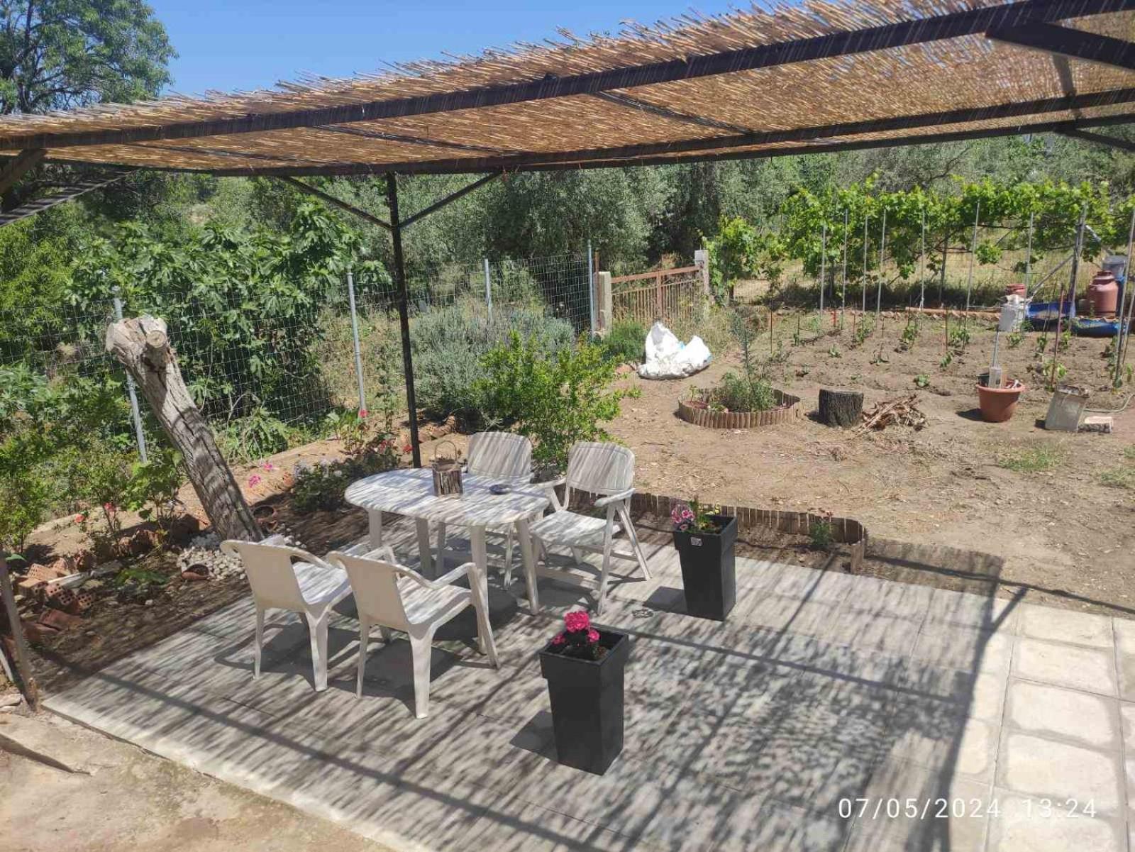 Vaso Thasos Holiday home