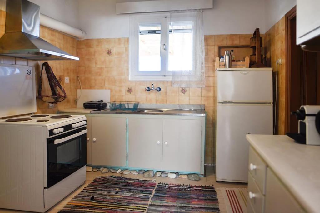 Holiday home Charming Renovated Farmhouse! - Antiparos! *