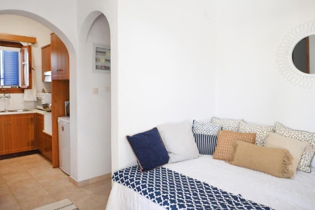 Charming Renovated Farmhouse! - Antiparos! Parikia (Paros)