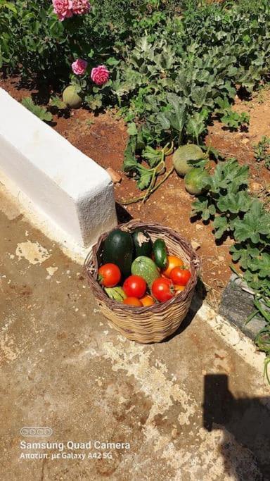 Charming Renovated Farmhouse! - Antiparos! * Parikia (Paros)