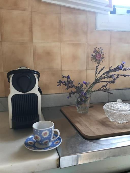 Charming Renovated Farmhouse! - Antiparos! * Parikia (Paros)