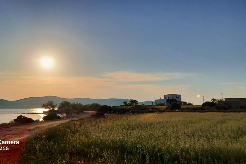 Charming Renovated Farmhouse! - Antiparos! Holiday home