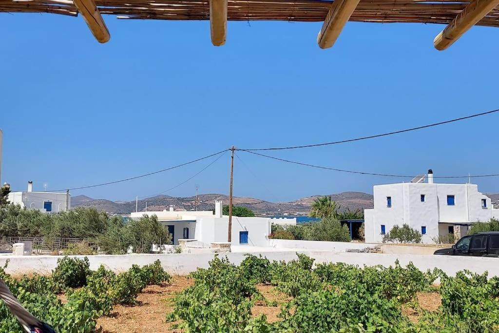 Holiday home Charming Renovated Farmhouse! - Antiparos! *